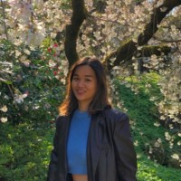 Demi Shen
