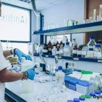 Elite Chemicals Laboratory