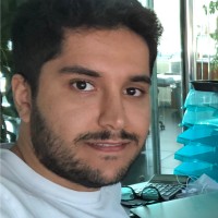 Seyedmehdi Sanati