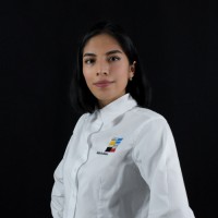 Diana Ivette Hernández Méndez