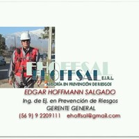 Edgar Hoffmann Salgado