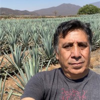 Francisco Javier Flores Mendoza, Ph.D.
