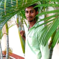 satheesh Paramasivam
