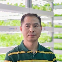 杨金戈