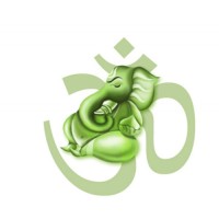 Dineticsystem services