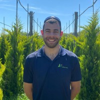 Mateu Terradas i Casellas