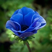 Jean Bertin MOUGNEME