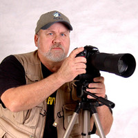 David Matthews