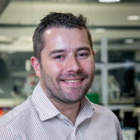 Peter Wilkie