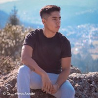 Guillermo Arzate