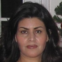 Afsaneh Orangi