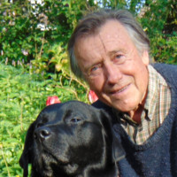 Bram Provoost