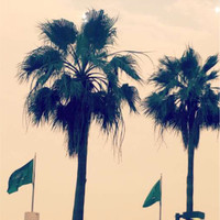 Sultanah Alharbi