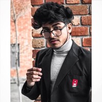 Prince Rajput