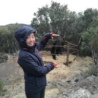 Chao Zhang