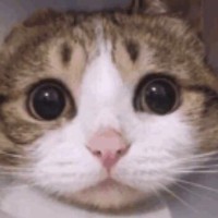 黄承超