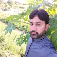 Mudassar Idrees