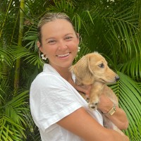 Quinn Roe Seitz
