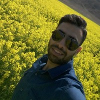 Mohamad.n Moguei