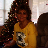 Sherry Davis