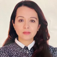 Dina Elkattan