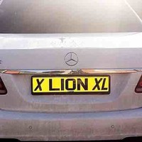 Boss Plates