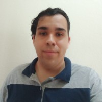 Pedro Henrique Machado Silva