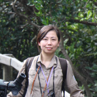 Lin Chen