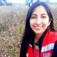 Mireya Sullca