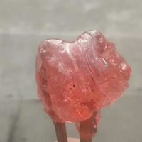 李小娜
