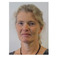 Gitte Juul