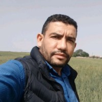 Amar Dermouchi