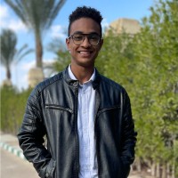 Omar Hanafy