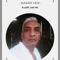 Fathy Farhkly