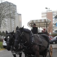 TAYIK BUMBA  KIONGEKA