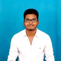 Vignesh P