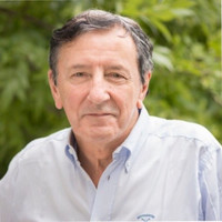 Dr. Daniel Belluscio