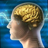 Primetime Consultants