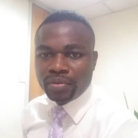 Seun Olorunisola, (Aca, Mba) Data, Financial Analyst