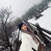 Yasmin Hamzah