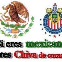 hector gines