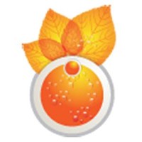 Best Design Infotech