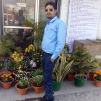 Anjeev Dwivedi