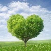 krolindaredo krolindaredo