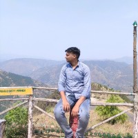 Manish Meena