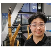 Michael Chow