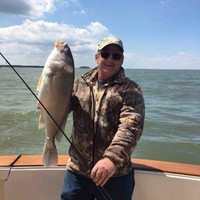 Mike Rosch