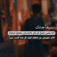 محمد القاضي