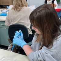 Mary Elizabeth Zifchak