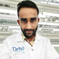 Shameel Shah